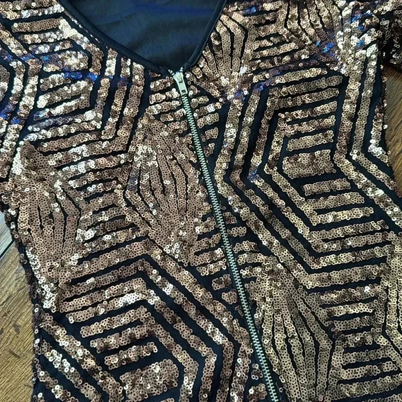 Windsor Squins body fit Dress - Picture 7 of 9